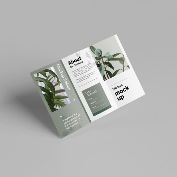 tri fold brochure