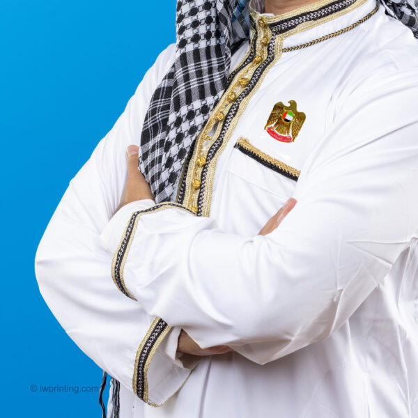 UAE Falcon Badge