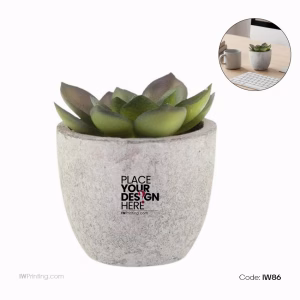 Artificial Succulent Plant in Pulp Pot - IWPrinting.com Order online